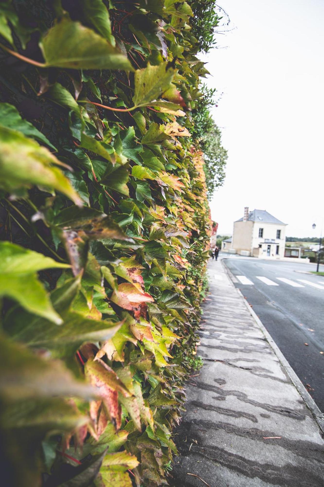 Le Regisseur Apartment Brissac-Quince Exterior photo